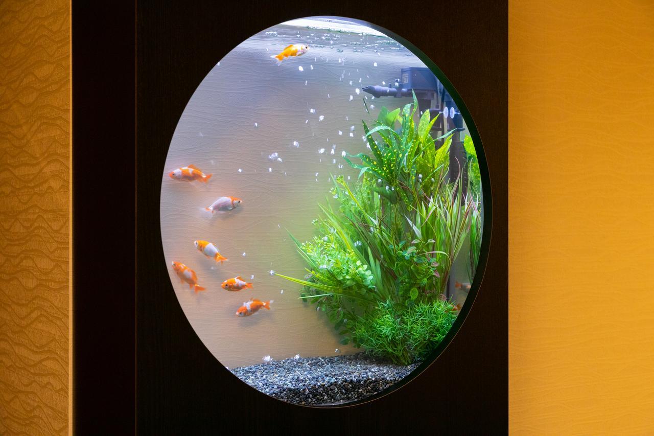 Hotel Eldia Luxury Kobe (Adults Only) Esterno foto